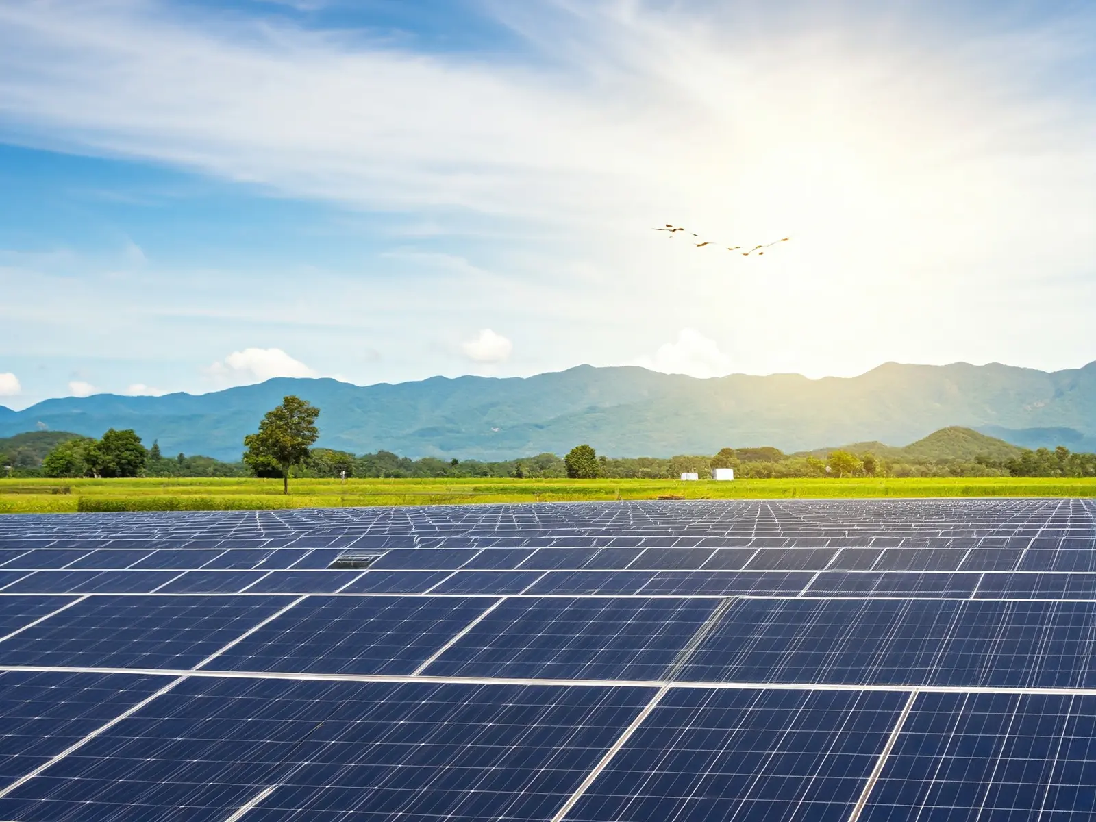 Thai governments solar energy promotion policy moving towards clean energy