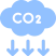 Icon co2