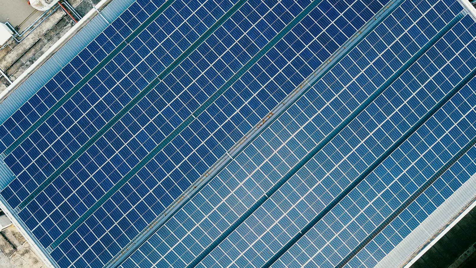 Solar rooftops booming a solution for lower electricity bills and a healthier planet
